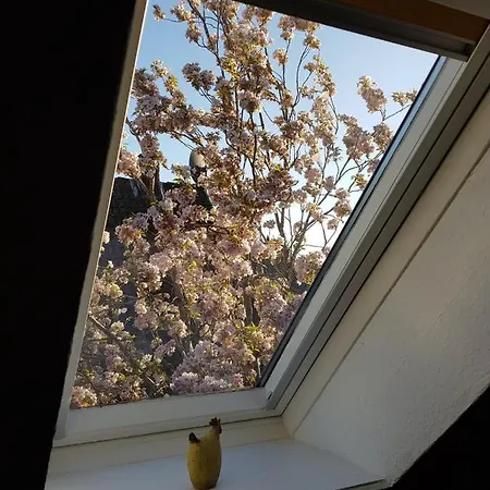 Ferienhaeuschen *